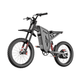 Freego X2 Pro All-Terrain Dirt eBike