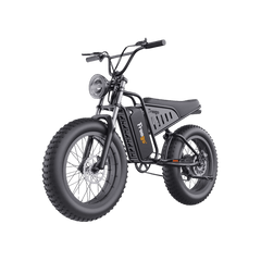 Freego S1 Cafe Racer eBike